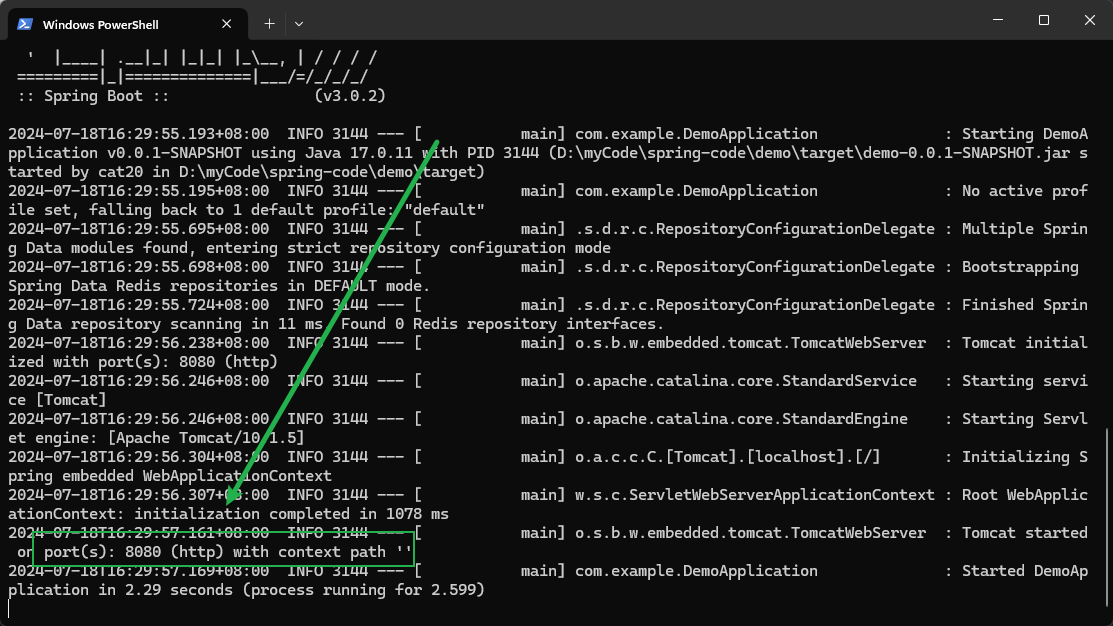 image-20240718163027261